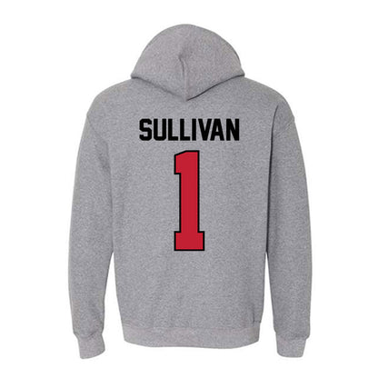 Georgia - NCAA Softball : Delani Sullivan - Classic Shersey Hooded Sweatshirt-1