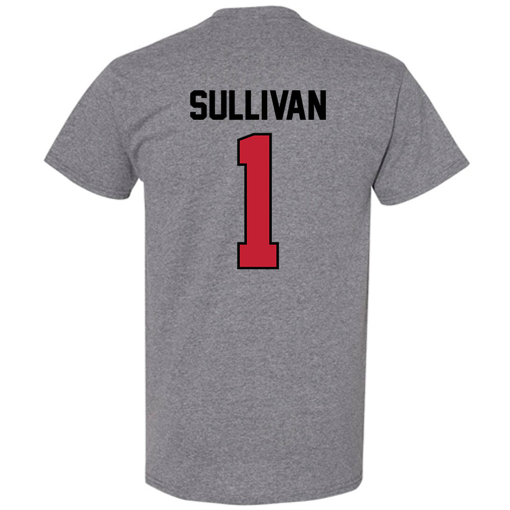 Georgia - NCAA Softball : Delani Sullivan - Classic Shersey T-Shirt-1