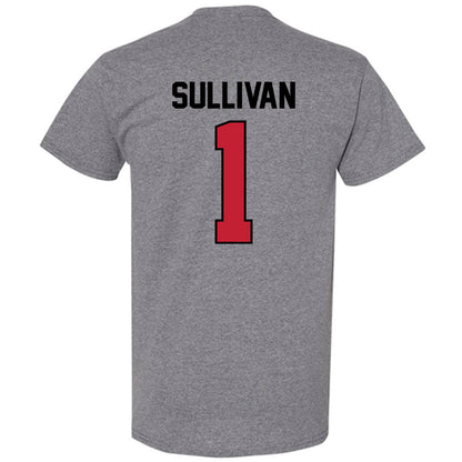 Georgia - NCAA Softball : Delani Sullivan - Classic Shersey T-Shirt-1