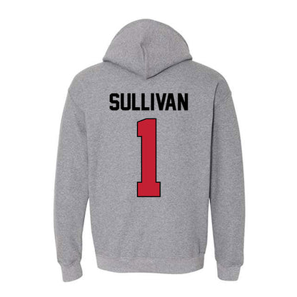 Georgia - NCAA Softball : Delani Sullivan - Sports Shersey Hooded Sweatshirt-1