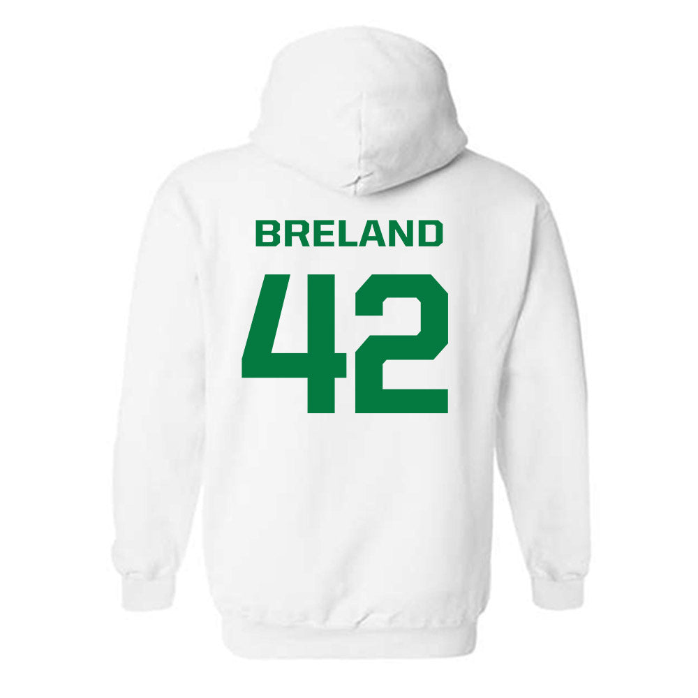 Oregon - NCAA Football : Aydin Breland - Classic Fashion Shersey Hooded Sweatshirt-1