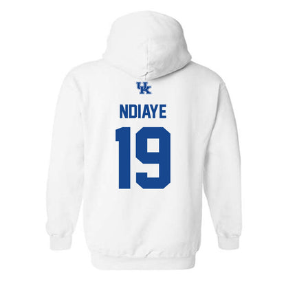 Kentucky - NCAA Men's Basketball : Ousmane Ndiaye - Classic Shersey Hooded Sweatshirt-1