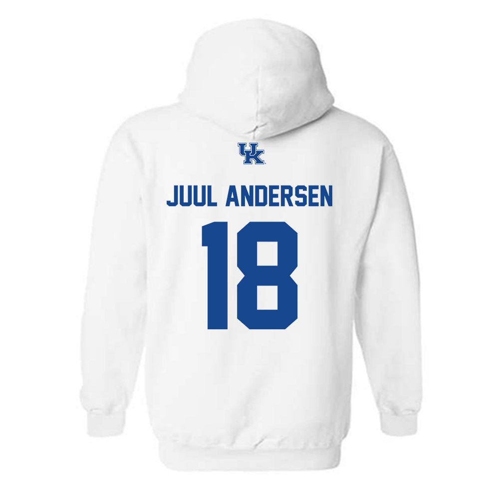 Kentucky - NCAA Men's Soccer : Marcus Juul Andersen - Classic Shersey Hooded Sweatshirt-1