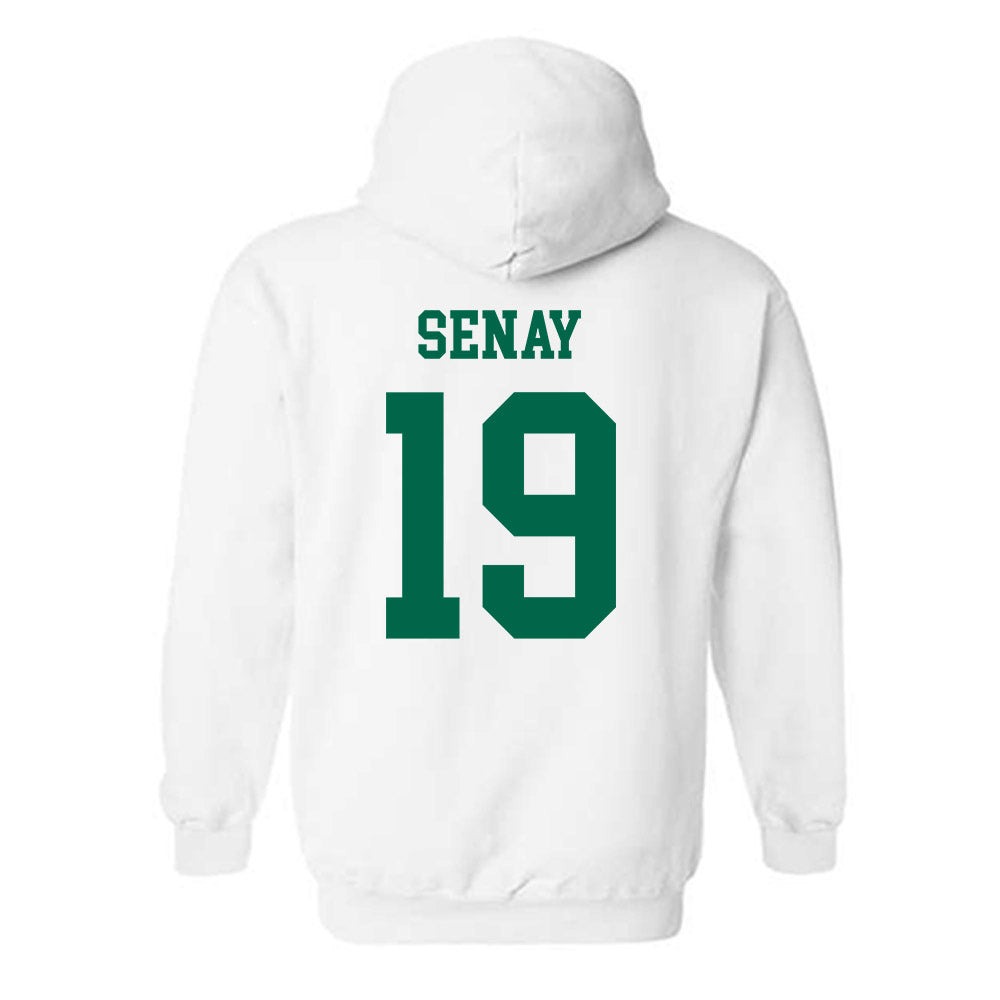USF - NCAA Baseball : Michael Senay - Classic Shersey Hooded Sweatshirt-1
