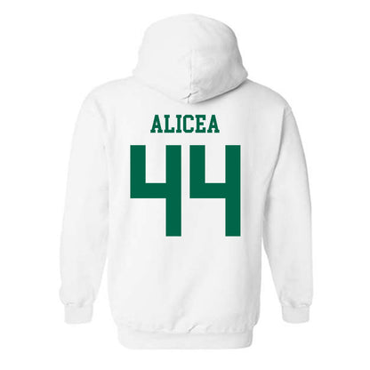 USF - NCAA Baseball : Edwin Alicea - Classic Shersey Hooded Sweatshirt-1