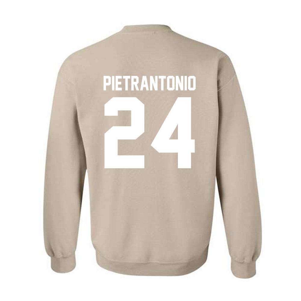 USF - NCAA Men's Soccer : Nicolas Pietrantonio - Classic Shersey Crewneck Sweatshirt-1