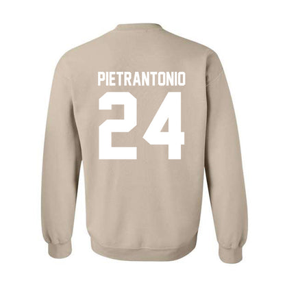 USF - NCAA Men's Soccer : Nicolas Pietrantonio - Classic Shersey Crewneck Sweatshirt-1
