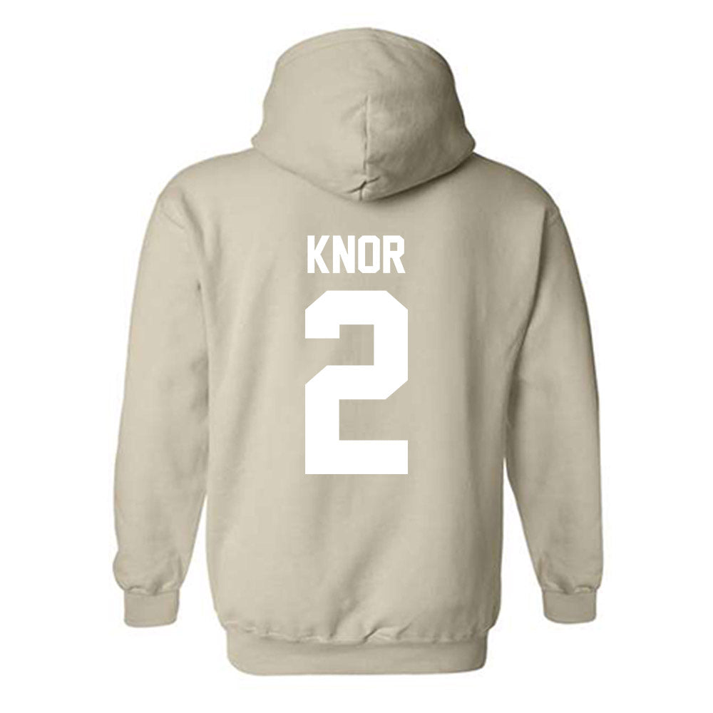 USF - NCAA Women's Lacrosse : Ansley Knor - Classic Shersey Hooded Sweatshirt-1