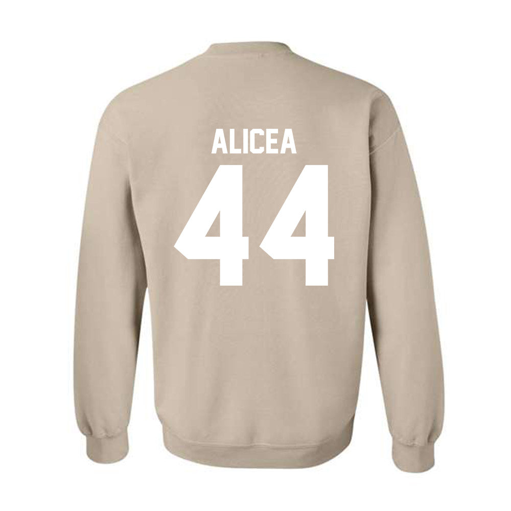 USF - NCAA Baseball : Edwin Alicea - Classic Shersey Crewneck Sweatshirt-1