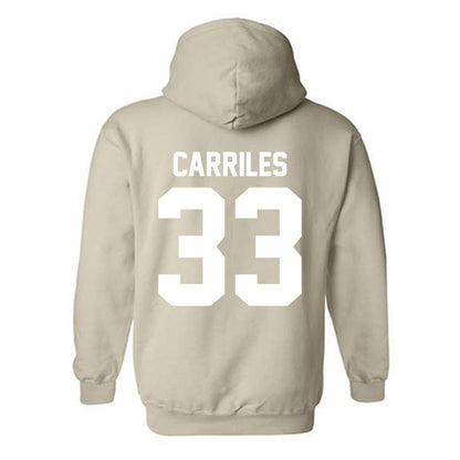 USF - NCAA Baseball : Santiago Carriles - Classic Shersey Hooded Sweatshirt-1