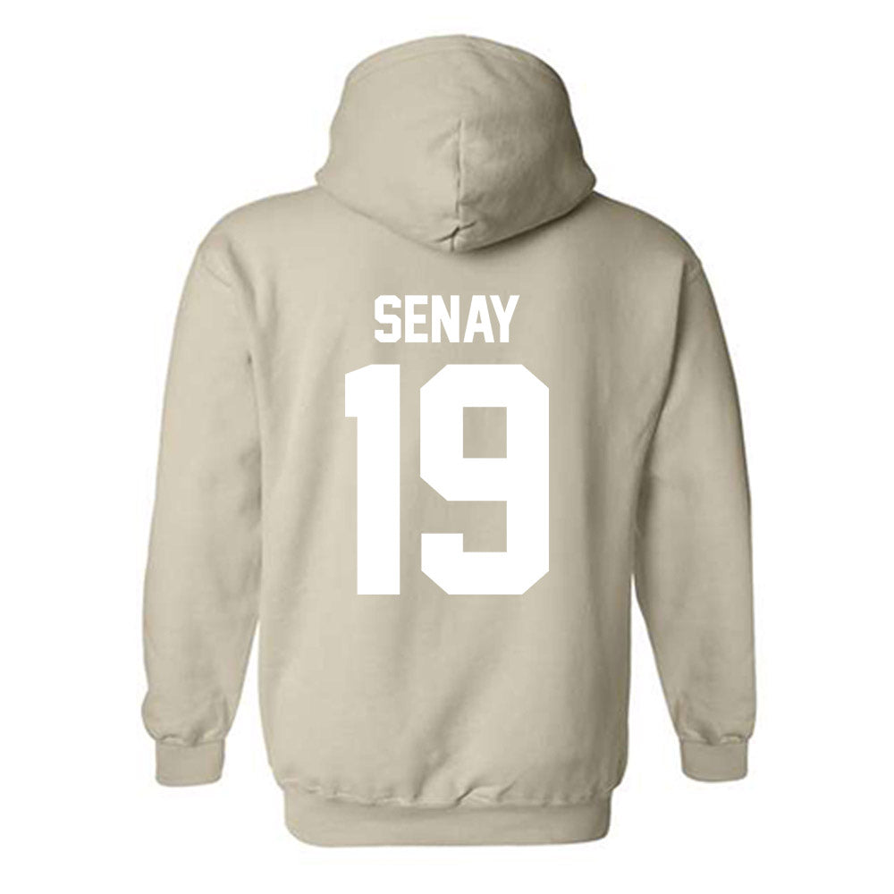 USF - NCAA Baseball : Michael Senay - Classic Shersey Hooded Sweatshirt-1