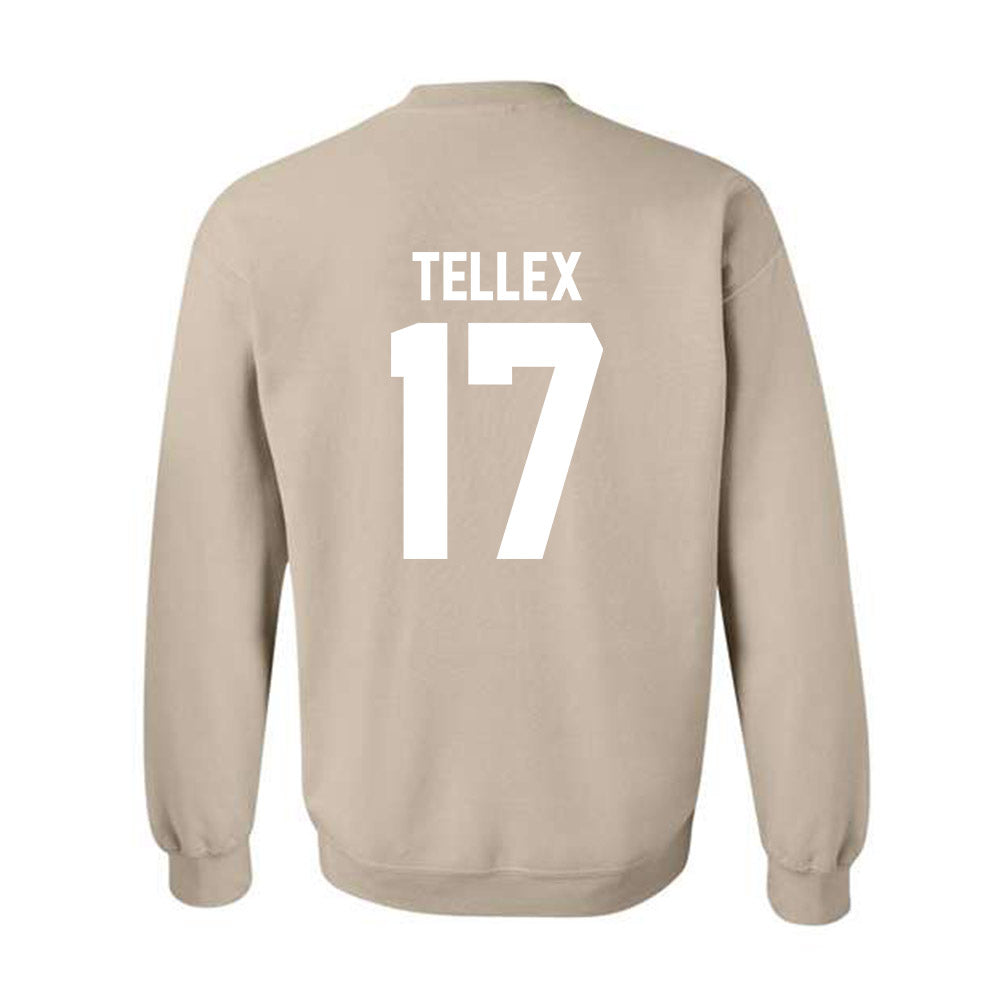 USF - NCAA Women's Soccer : Delaney Tellex - Classic Shersey Crewneck Sweatshirt-1