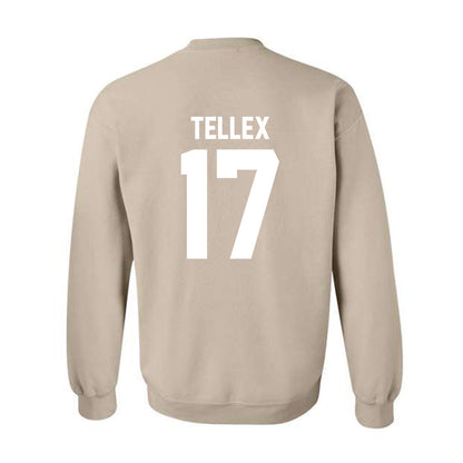 USF - NCAA Women's Soccer : Delaney Tellex - Classic Shersey Crewneck Sweatshirt-1