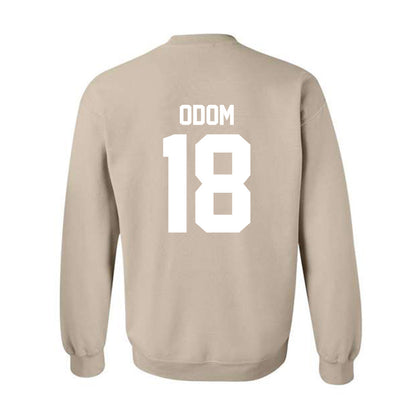 USF - NCAA Football : Kenneth Odom - Classic Shersey Crewneck Sweatshirt-1