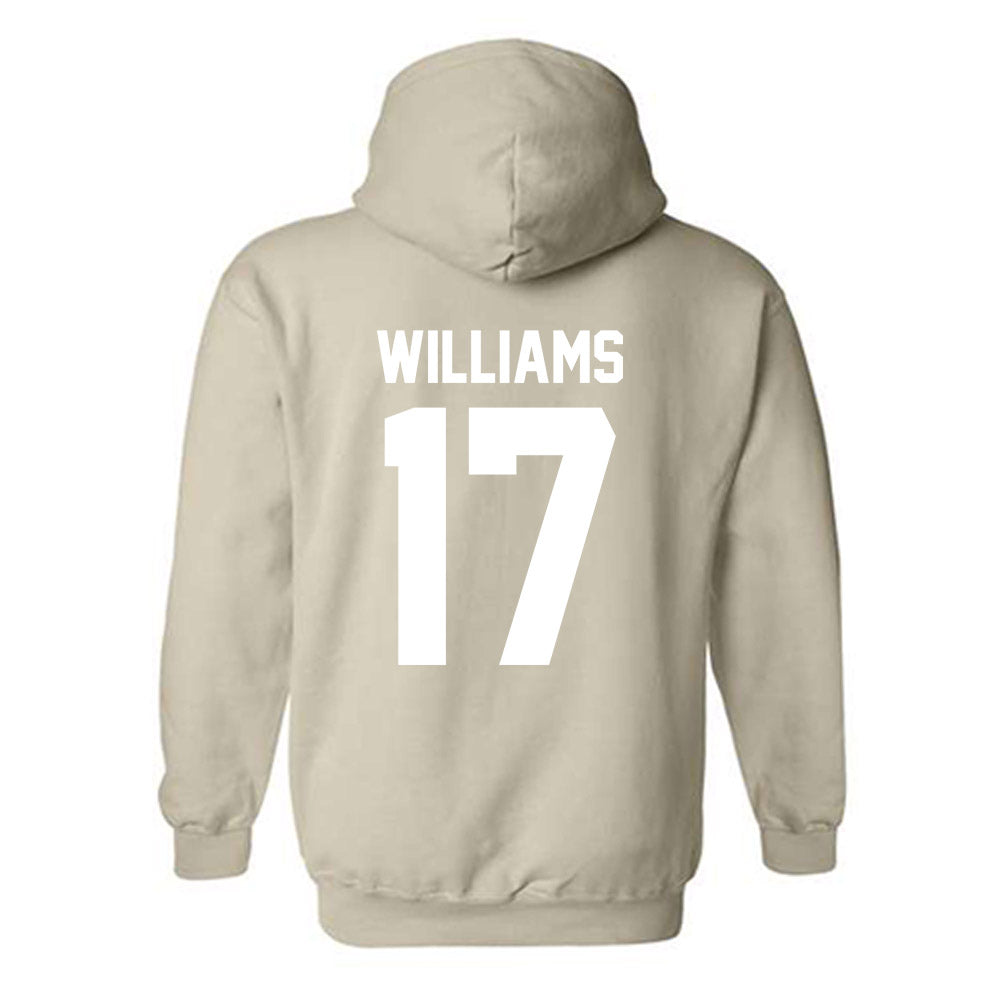 USF - NCAA Men's Soccer : Micah Williams - Classic Shersey Hooded Sweatshirt-1