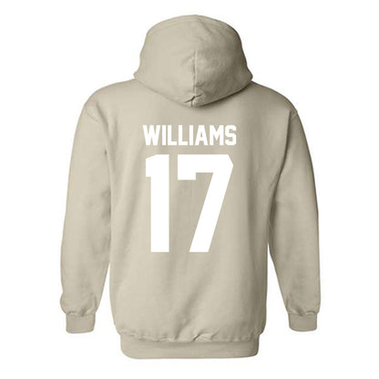 USF - NCAA Men's Soccer : Micah Williams - Classic Shersey Hooded Sweatshirt-1
