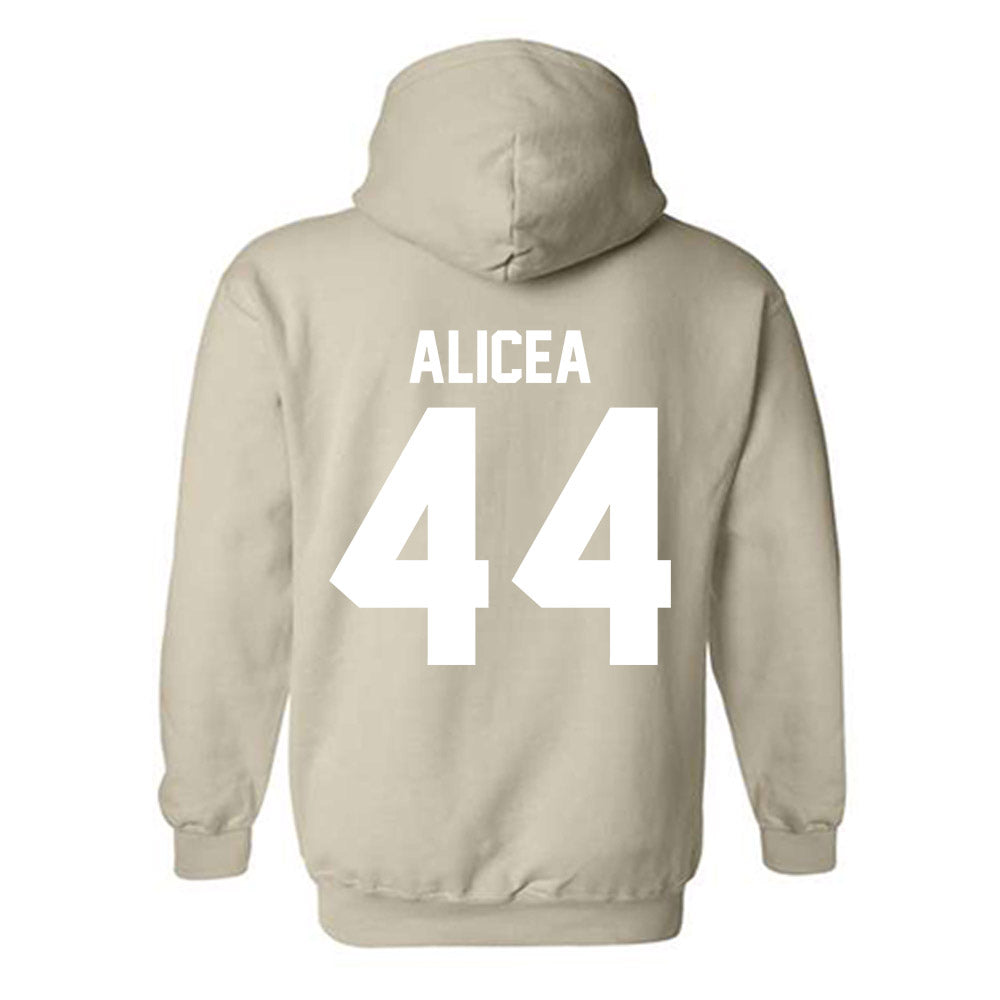 USF - NCAA Baseball : Edwin Alicea - Classic Shersey Hooded Sweatshirt-1