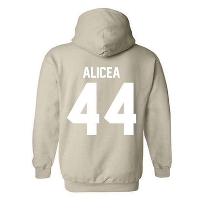 USF - NCAA Baseball : Edwin Alicea - Classic Shersey Hooded Sweatshirt-1
