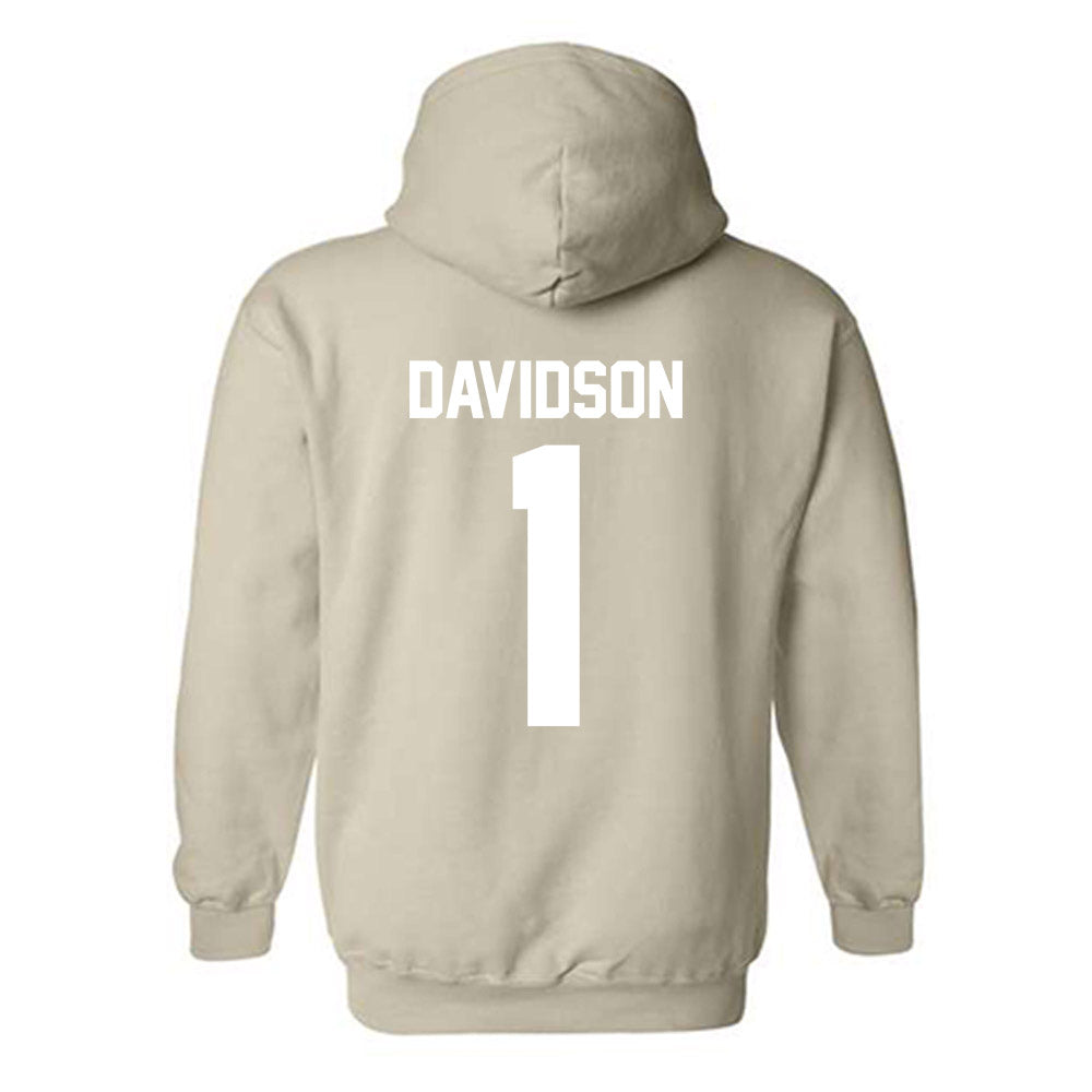 USF - NCAA Women's Basketball : Katie Davidson - Classic Shersey Hooded Sweatshirt-1
