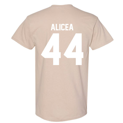 USF - NCAA Baseball : Edwin Alicea - Classic Shersey T-Shirt-1