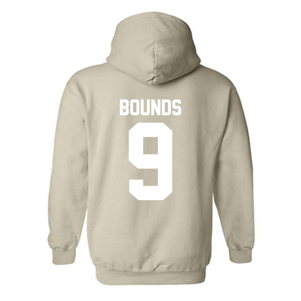 USF - NCAA Beach Volleyball : Addison Bounds - Classic Shersey Hooded Sweatshirt-1