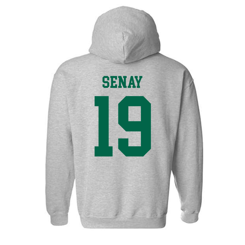 USF - NCAA Baseball : Michael Senay - Classic Shersey Hooded Sweatshirt-1