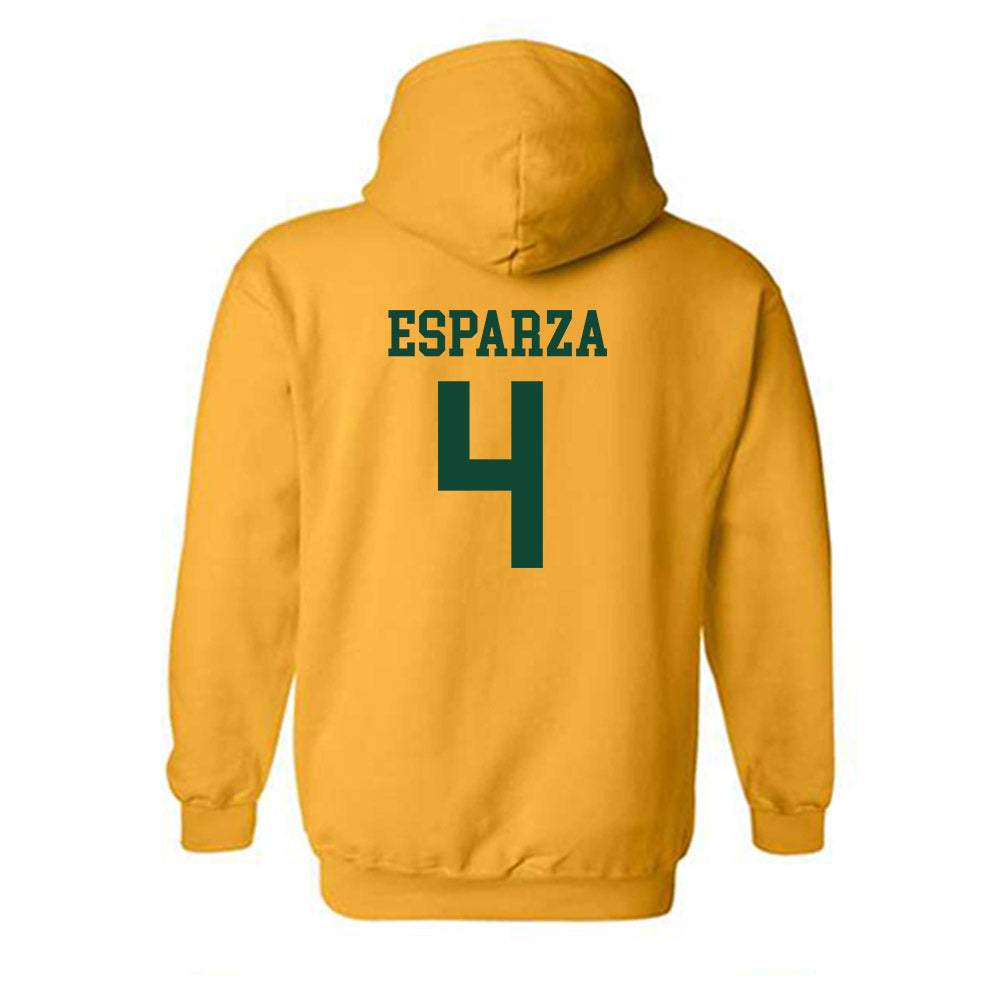 Baylor - NCAA Softball : Charleigh Esparza - Classic Shersey Hooded Sweatshirt-1