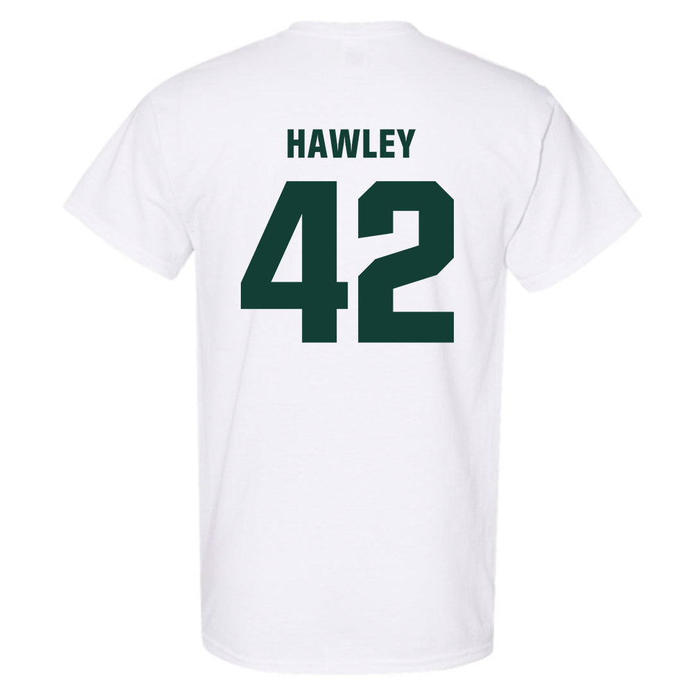 Michigan State - NCAA Softball : Hannah Hawley - T-Shirt Classic Shersey
