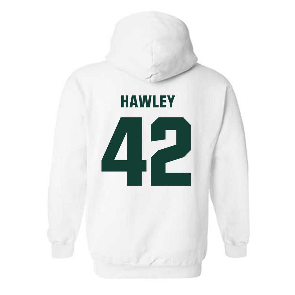 Michigan State - NCAA Softball : Hannah Hawley - Hooded Sweatshirt Classic Shersey