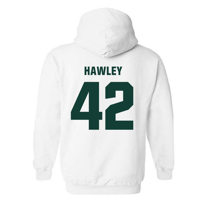 Michigan State - NCAA Softball : Hannah Hawley - Hooded Sweatshirt Classic Shersey