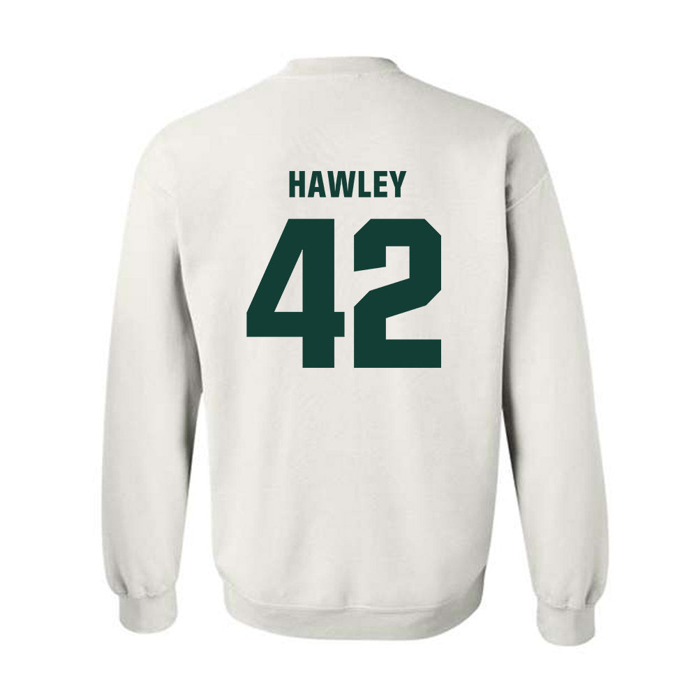 Michigan State - NCAA Softball : Hannah Hawley - Crewneck Sweatshirt Classic Shersey