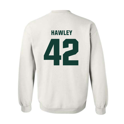 Michigan State - NCAA Softball : Hannah Hawley - Crewneck Sweatshirt Classic Shersey