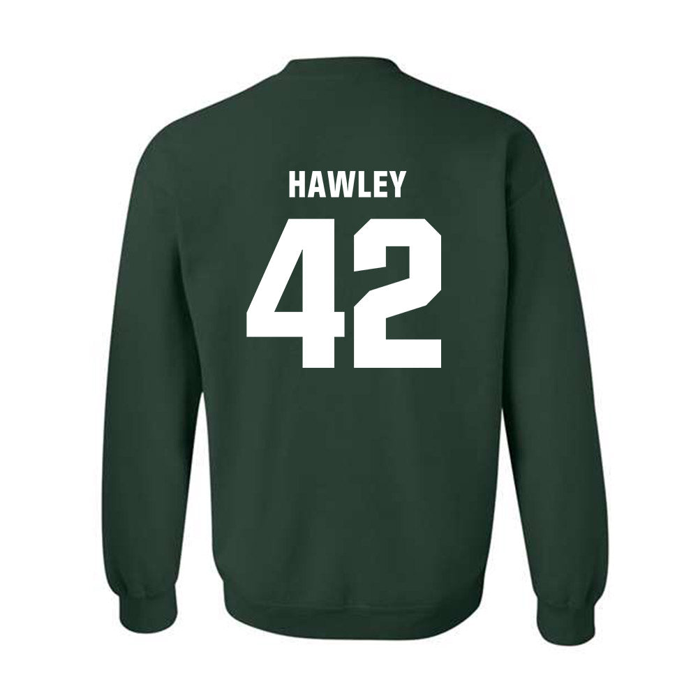 Michigan State - NCAA Softball : Hannah Hawley - Crewneck Sweatshirt Classic Shersey