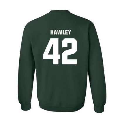 Michigan State - NCAA Softball : Hannah Hawley - Crewneck Sweatshirt Classic Shersey
