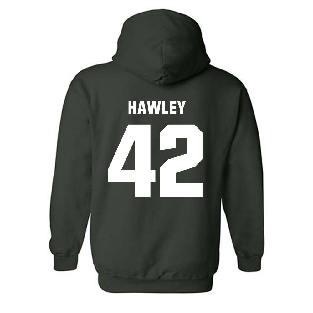 Michigan State - NCAA Softball : Hannah Hawley - Hooded Sweatshirt Classic Shersey