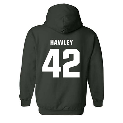 Michigan State - NCAA Softball : Hannah Hawley - Hooded Sweatshirt Classic Shersey