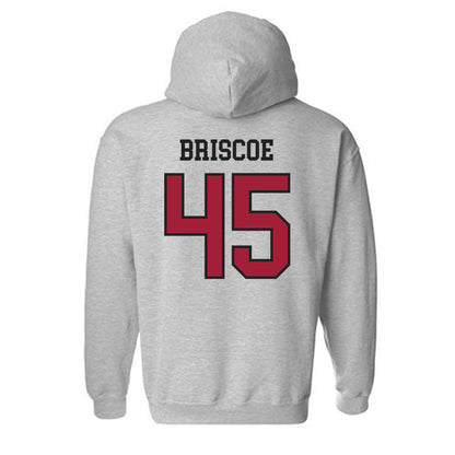 Arkansas - NCAA Baseball : Tye Briscoe - Sports Shersey Hooded Sweatshirt-1