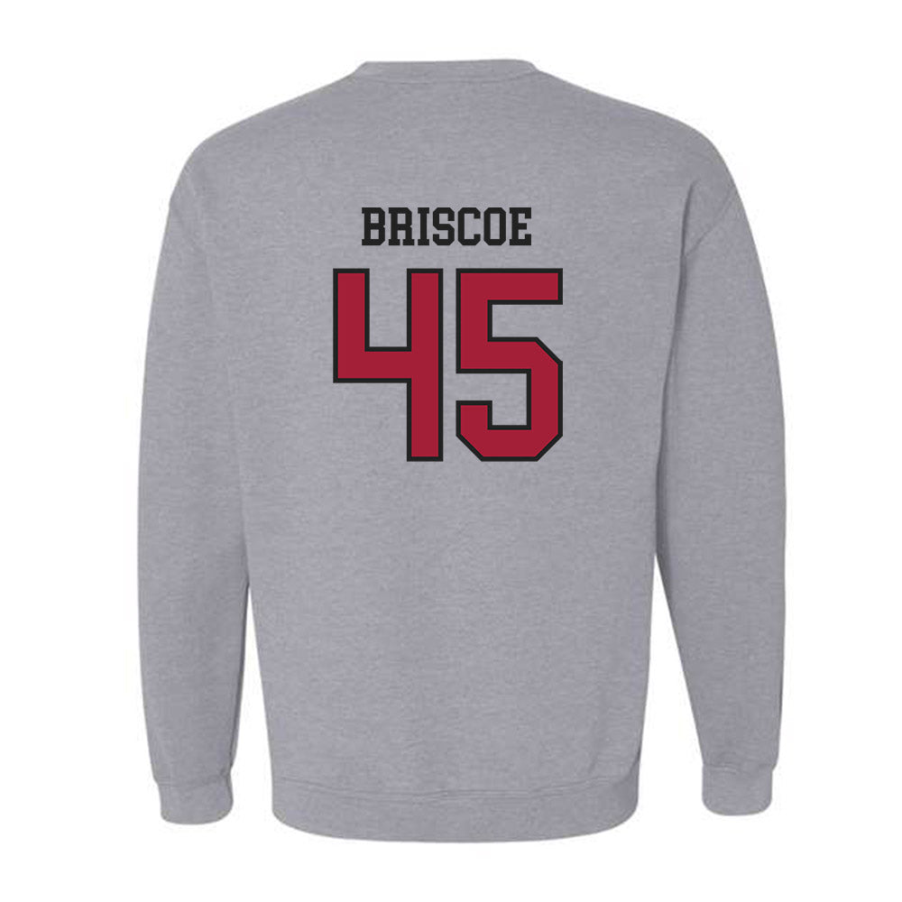 Arkansas - NCAA Baseball : Tye Briscoe - Sports Shersey Crewneck Sweatshirt-1