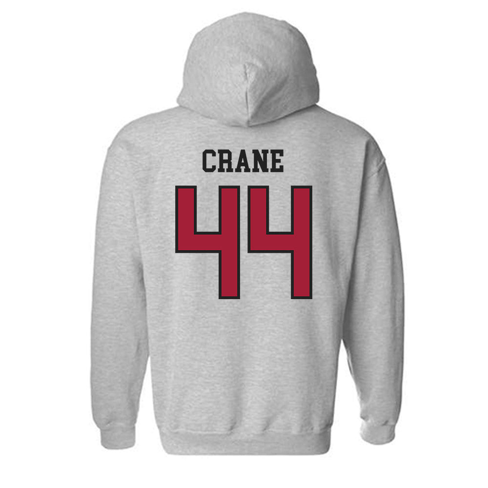 Arkansas - NCAA Baseball : Brody Crane - Sports Shersey Hooded Sweatshirt-1
