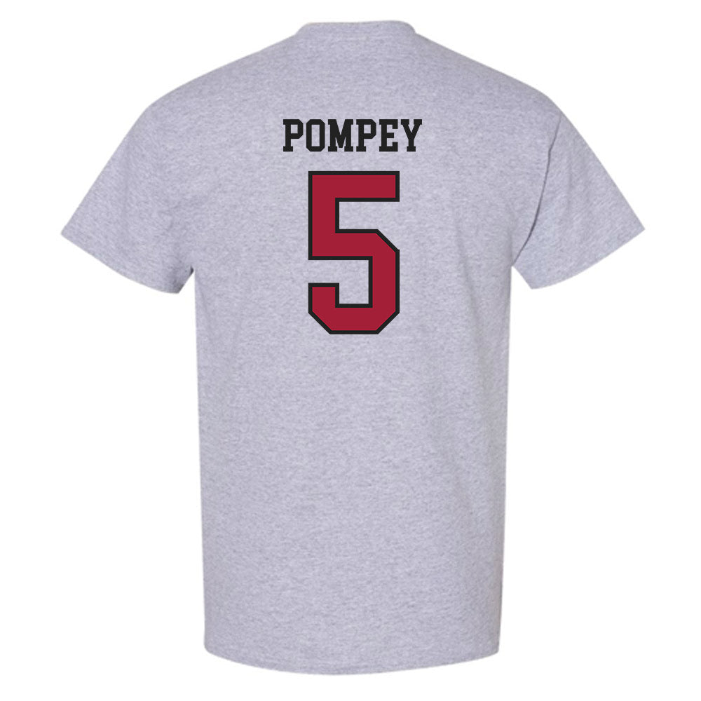Arkansas - NCAA Baseball : TJ Pompey - Sports Shersey T-Shirt-1