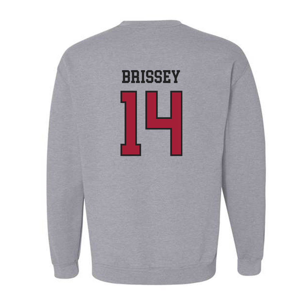 Arkansas - NCAA Baseball : Mark Brissey - Sports Shersey Crewneck Sweatshirt-1