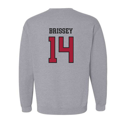 Arkansas - NCAA Baseball : Mark Brissey - Sports Shersey Crewneck Sweatshirt-1