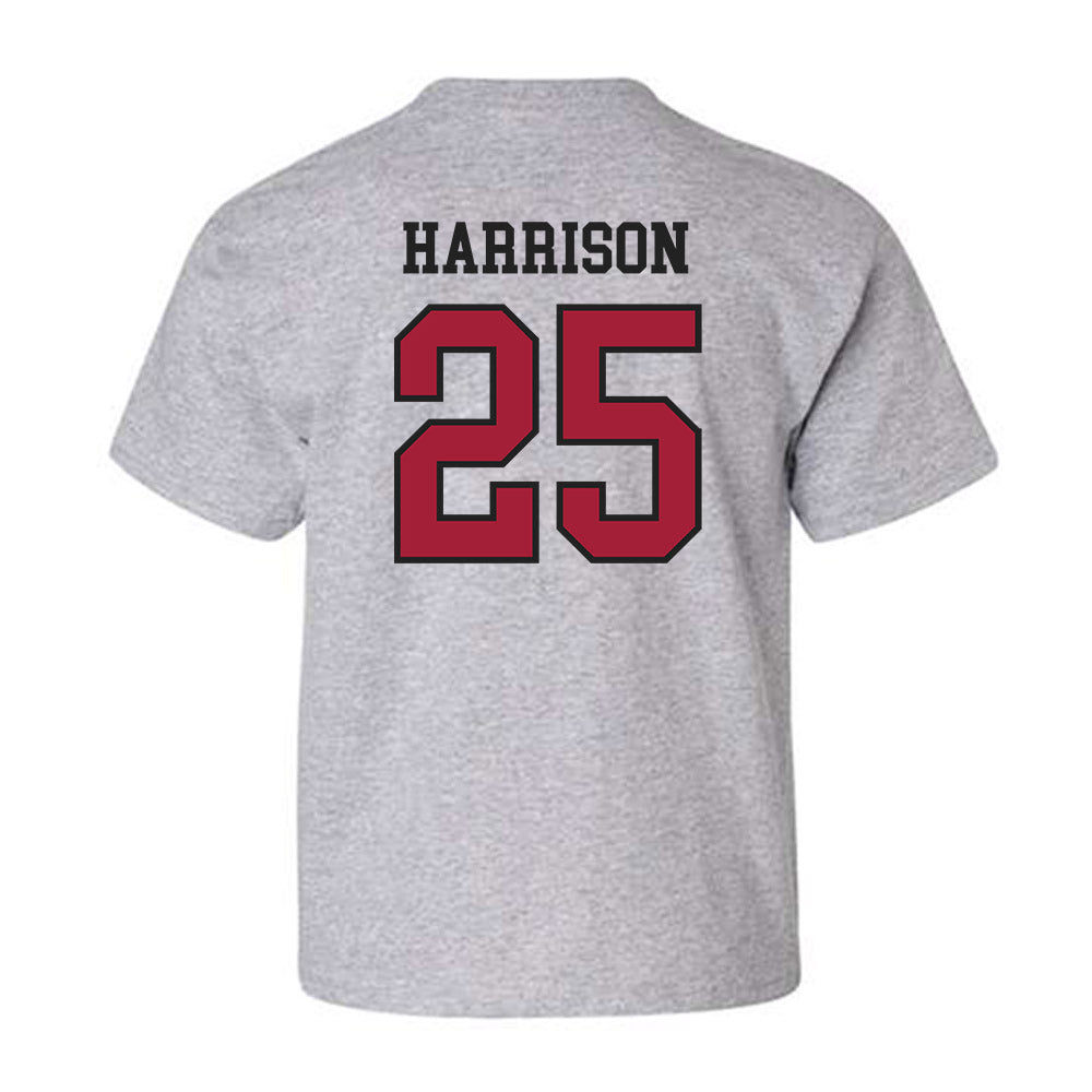 Arkansas - NCAA Softball : Cameryn Harrison - Sports Shersey Youth T-Shirt-1