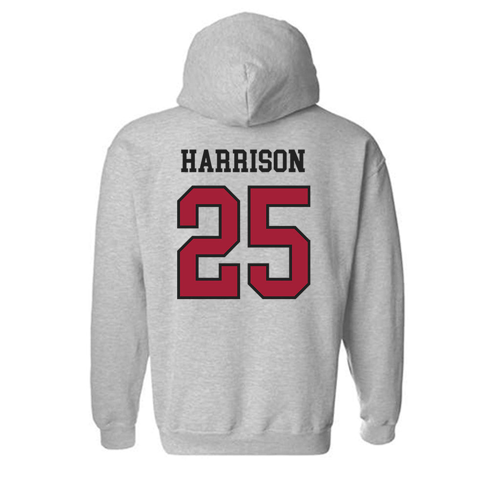 Arkansas - NCAA Softball : Cameryn Harrison - Sports Shersey Hooded Sweatshirt-1