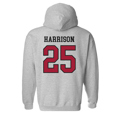 Arkansas - NCAA Softball : Cameryn Harrison - Sports Shersey Hooded Sweatshirt-1
