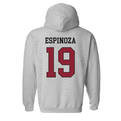 Boston College - NCAA Softball : Janis Espinoza - Sports Shersey Hooded Sweatshirt-1