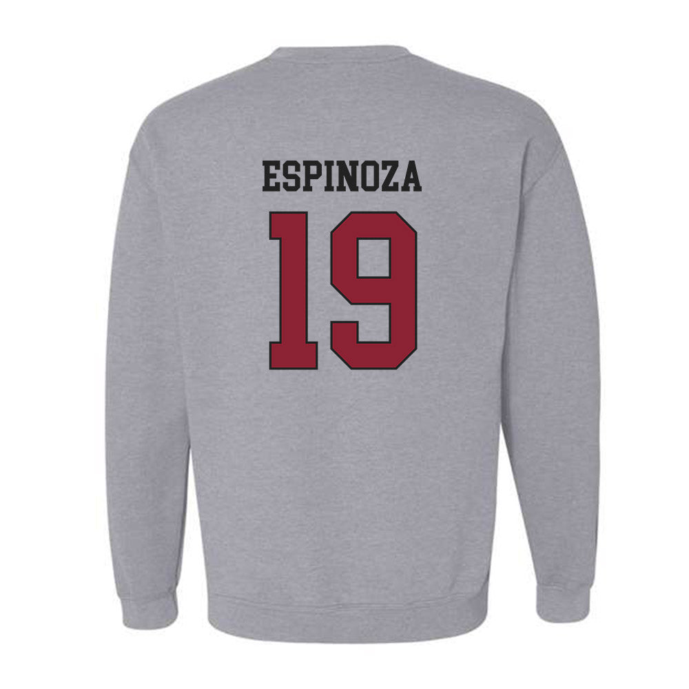 Boston College - NCAA Softball : Janis Espinoza - Sports Shersey Crewneck Sweatshirt-1