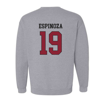 Boston College - NCAA Softball : Janis Espinoza - Sports Shersey Crewneck Sweatshirt-1