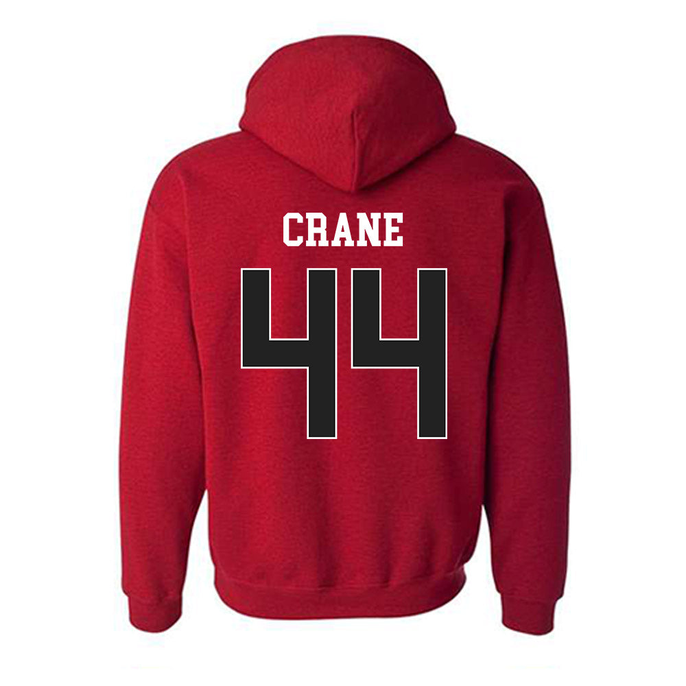 Arkansas - NCAA Baseball : Brody Crane - Sports Shersey Hooded Sweatshirt-1