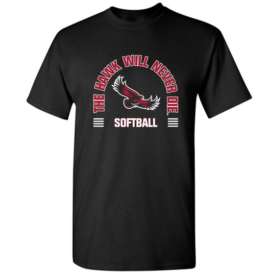 St. Joe's - NCAA Softball : Alivia Heers - Classic Shersey T-Shirt-0